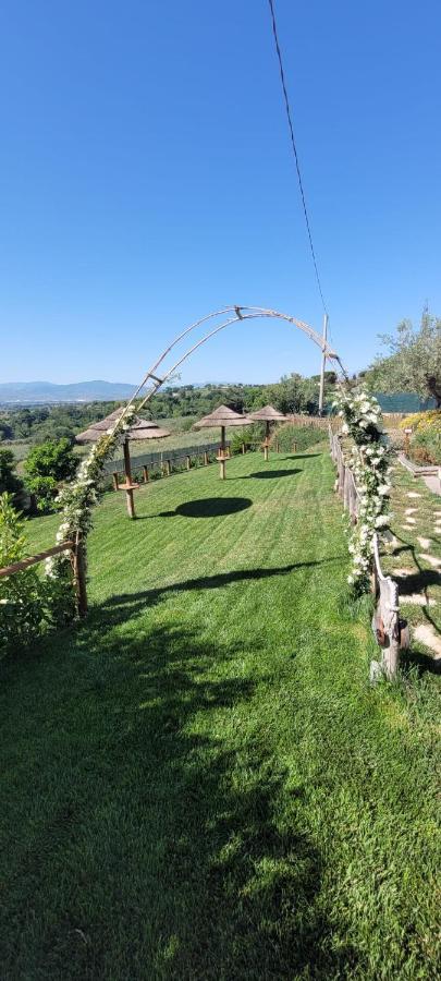 B&B Villa Melania Fossacesia Esterno foto