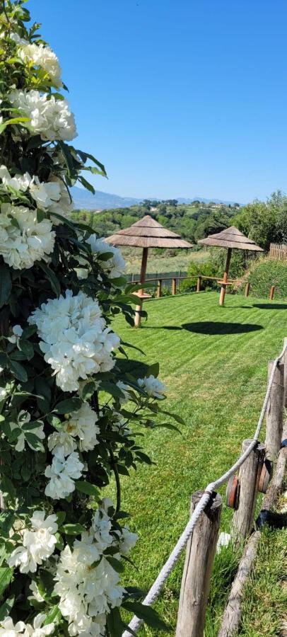 B&B Villa Melania Fossacesia Esterno foto