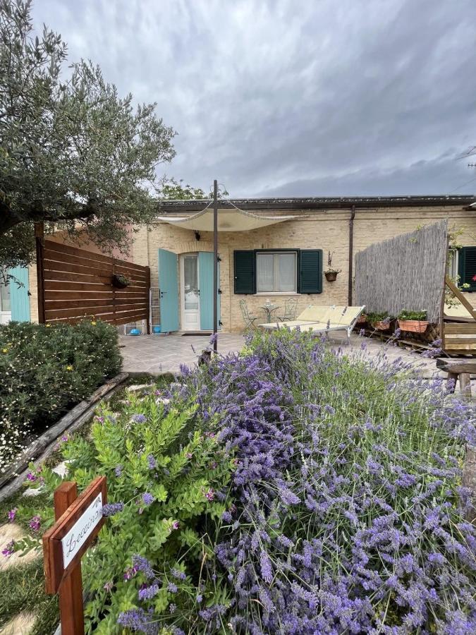 B&B Villa Melania Fossacesia Esterno foto